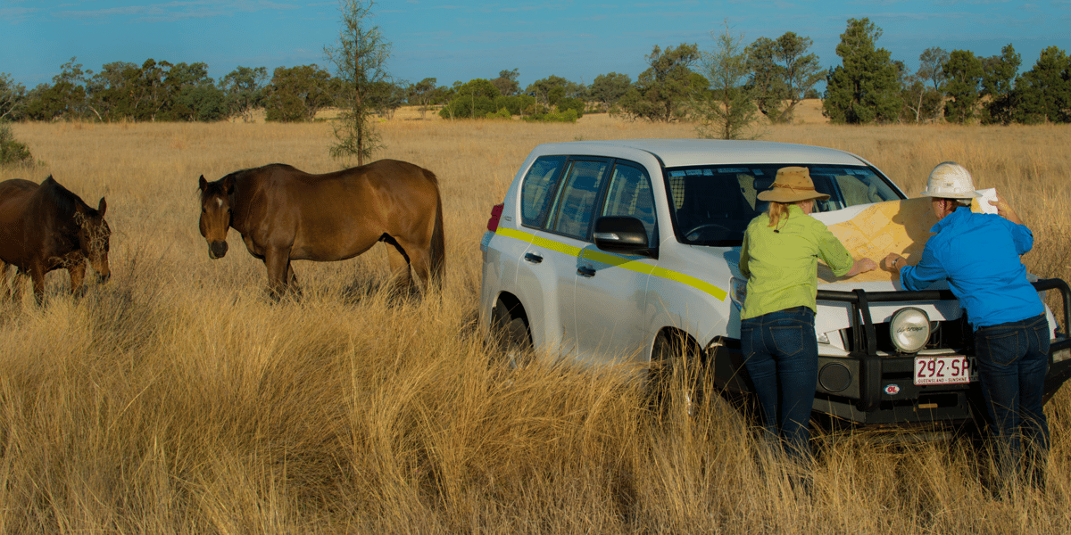 Coexistence Queensland 1